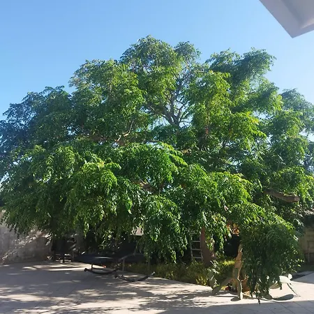 Le Cesine וילה טורה ספקיה רוג'רי